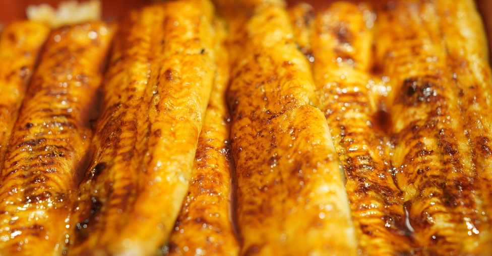 장어덮밥의 모습