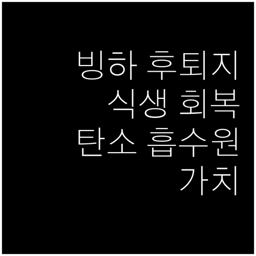탄소 흡수원 빙하 후퇴지 식생 회복의..