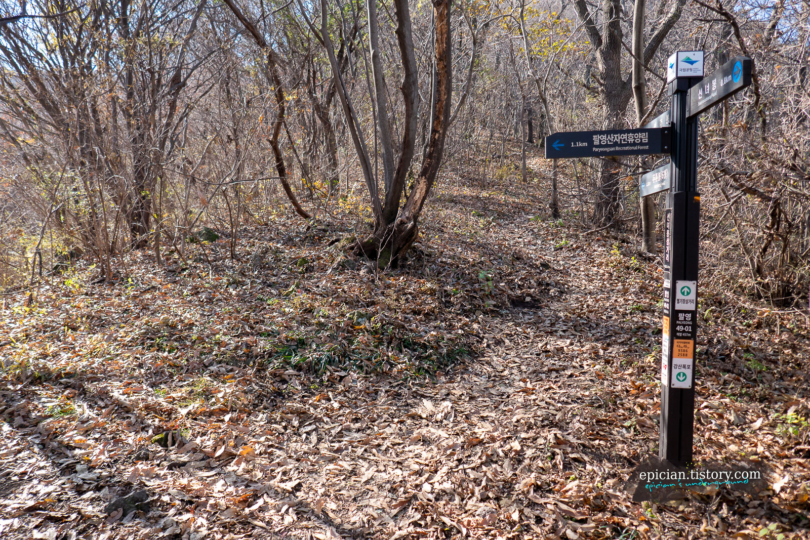 낙엽이 깔린 등산로 삼거리