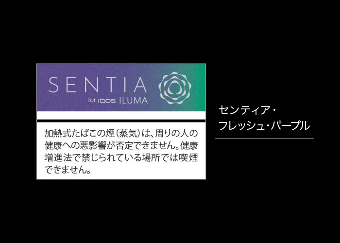 센티아 프레쉬 퍼플