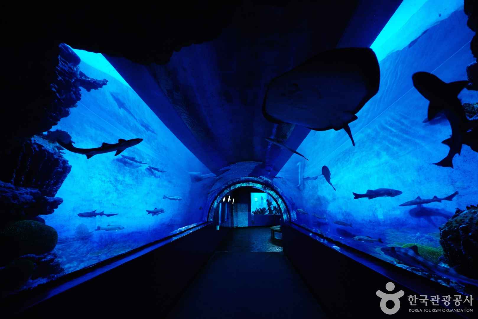 고성 화진포 해양박물관