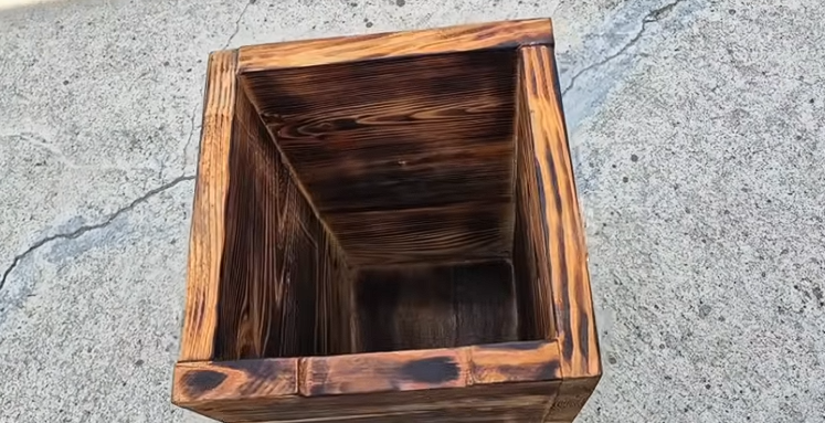 소나무 설통의 숨겨진 매력