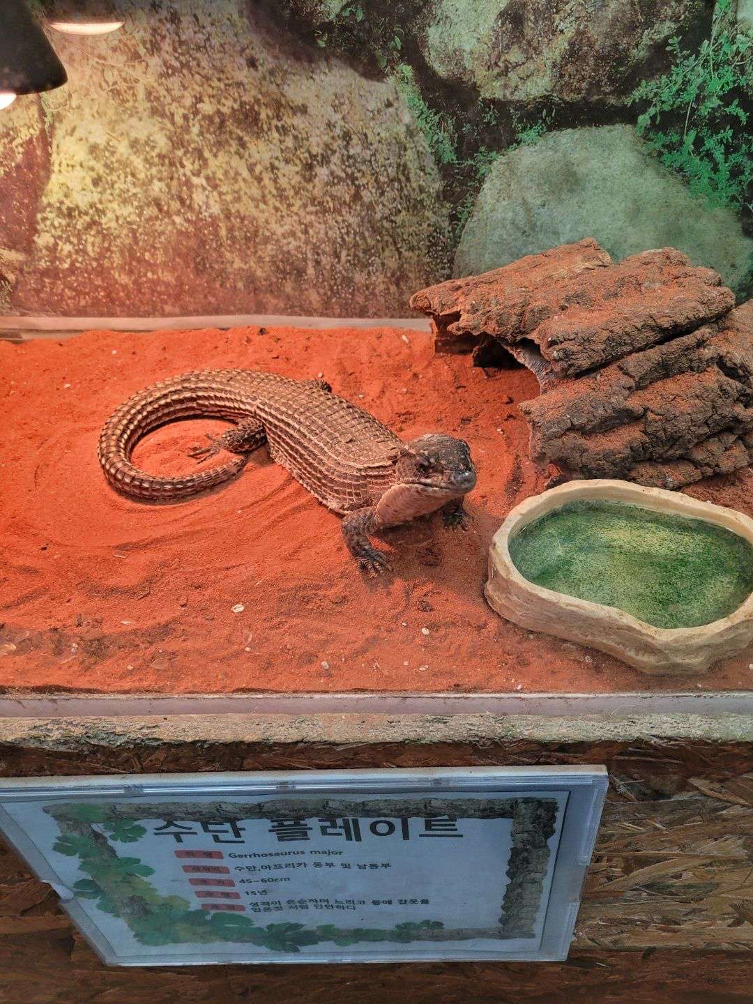 프렌쥬랜드 수단플레이트