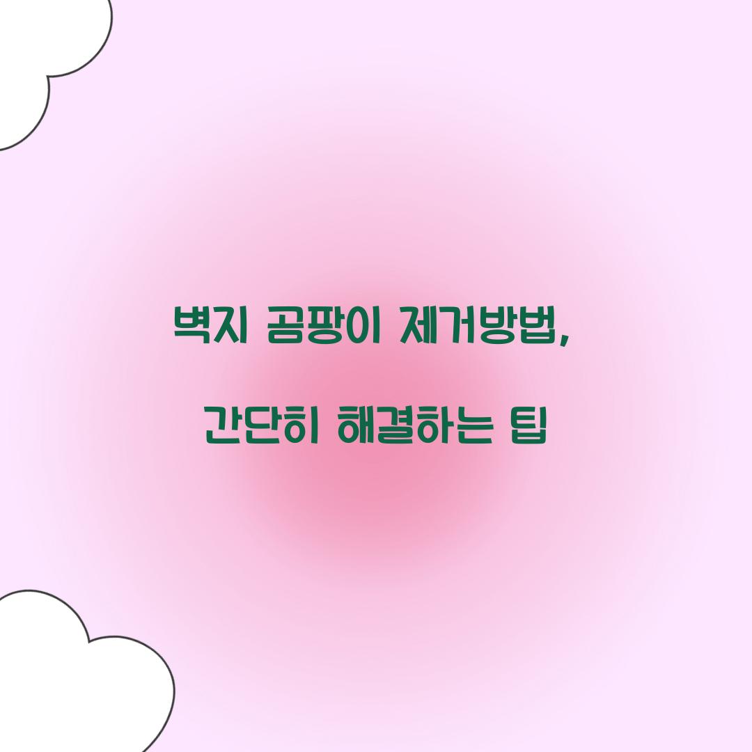 벽지 곰팡이 제거방법