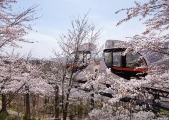 화담숲 예약하기 화담채 예약으로 절차정리_11