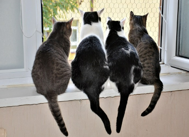 친구꿈 상황별 해몽