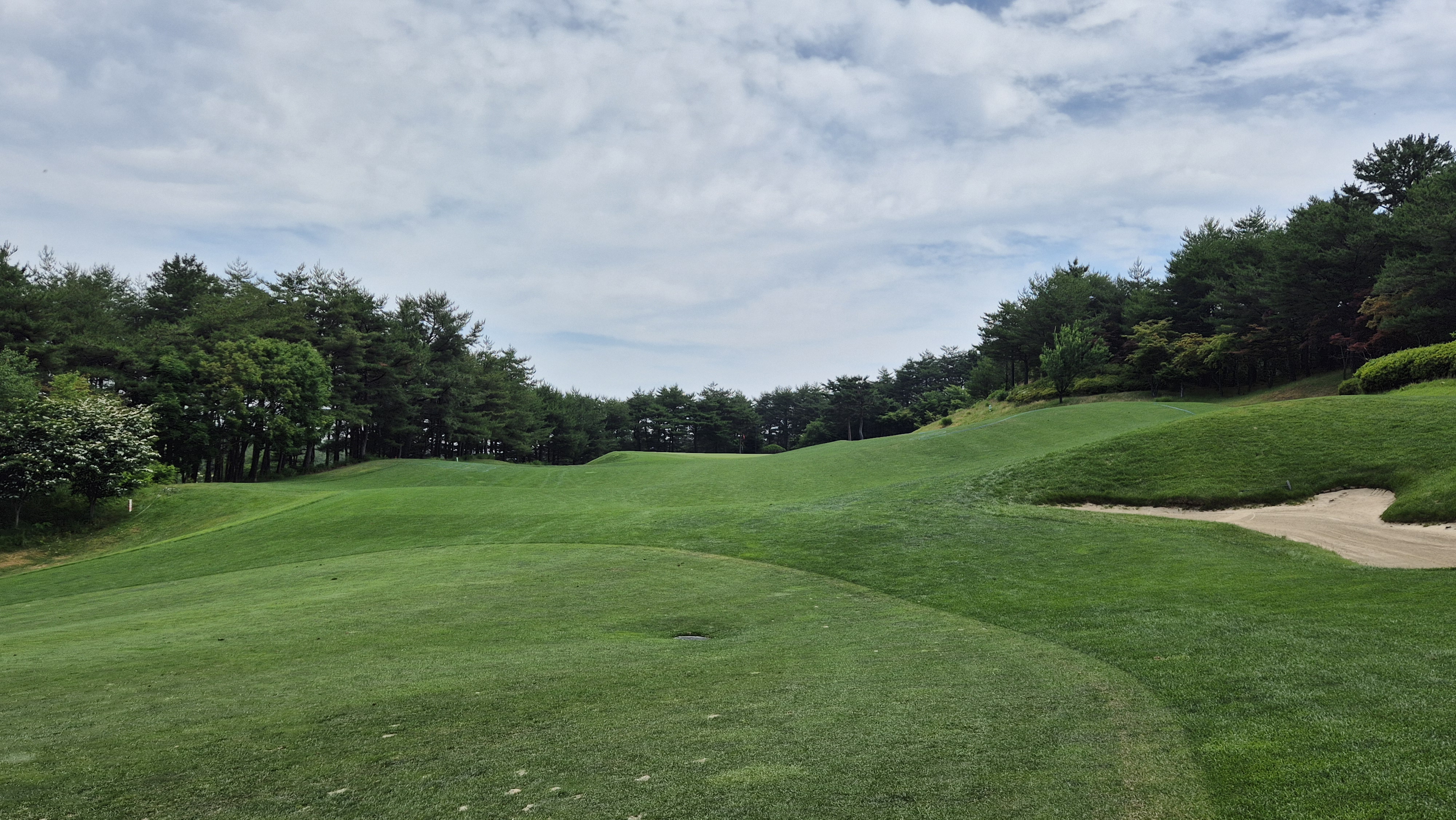 파인리즈cc 후기 및 코스사진