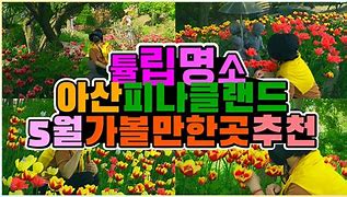 아산 피나클랜드 튤립 축제