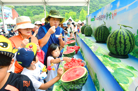 고창 복분자 수박축제