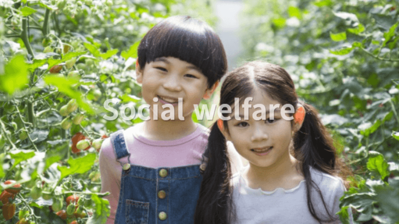 아동을 위한 사회복지 지원