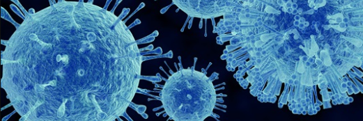 노로바이러스 2