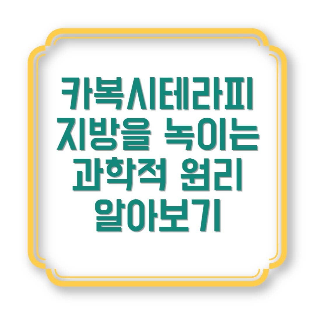카복시테라피, 지방을 녹이는 과학적 원리 알아보기