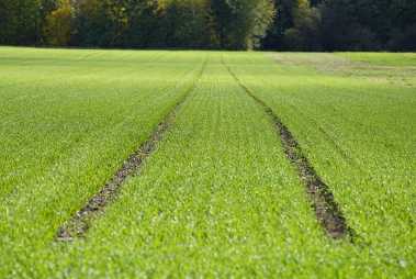 공익직불금 신청 자격