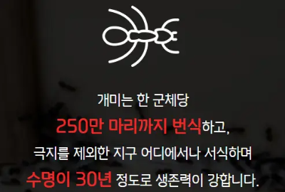 세스코 가정집