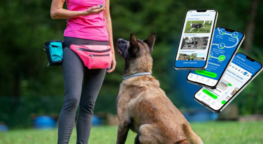 교감을 높이는 새로운 훈련 트렌드 이미지