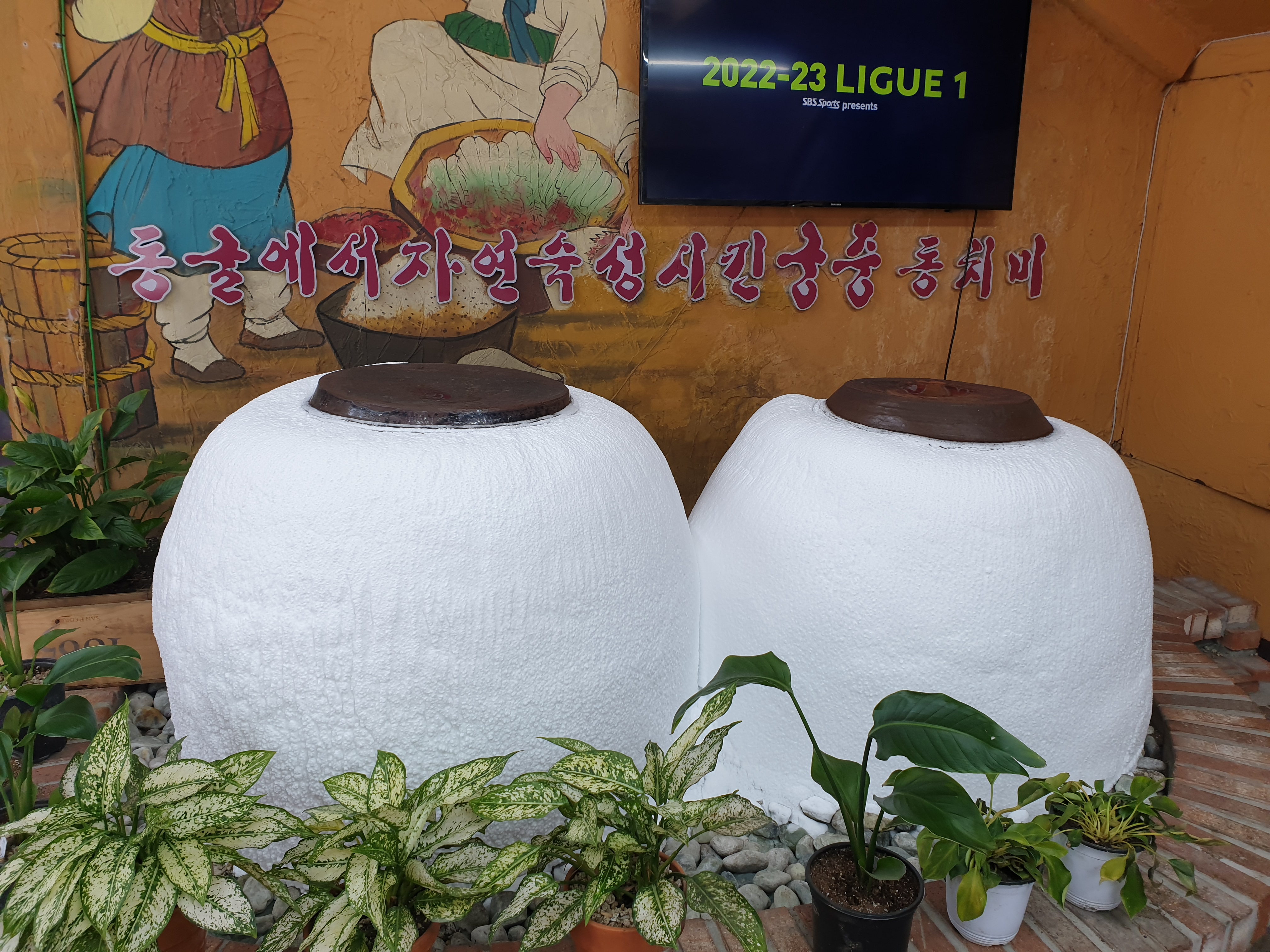 동치미 항아리
