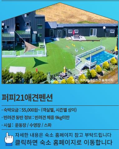 퍼피21애견펜션