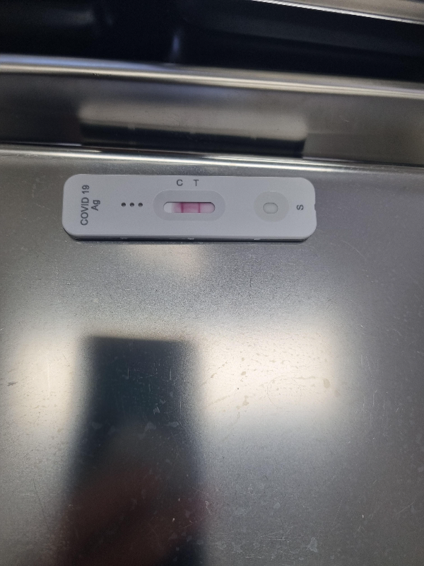 코로나 재유행 확진