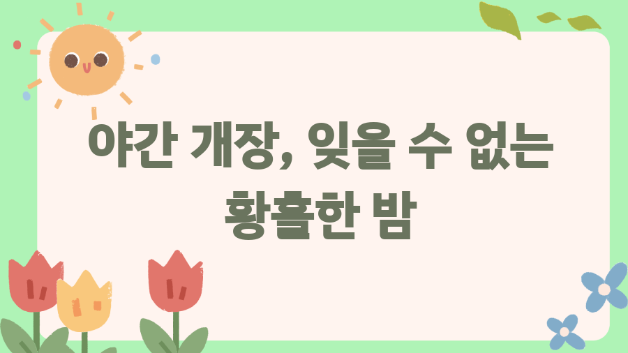애기봉 생태공원, DMZ에서 북한을 보다? 놀라운 경험 - 야간 개장, 잊을 수 없는 황홀한 밤 애기봉 생태공원, DMZ에서 북한을 보다? 놀라운 경험 - 야간 개장, 잊을 수 없는 황홀한 밤