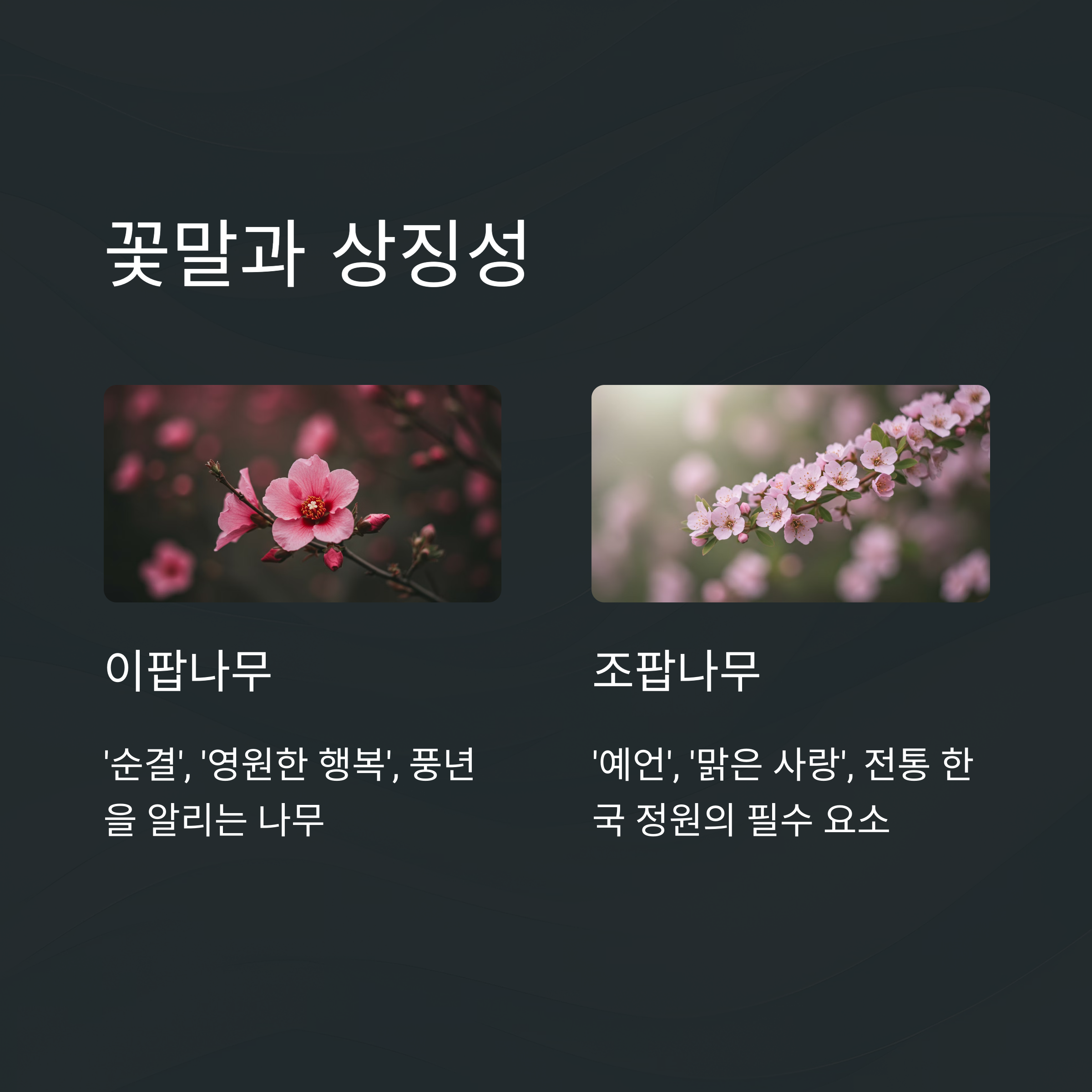 꽃말과 상징성