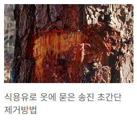 옷에 묻은 송진 제거