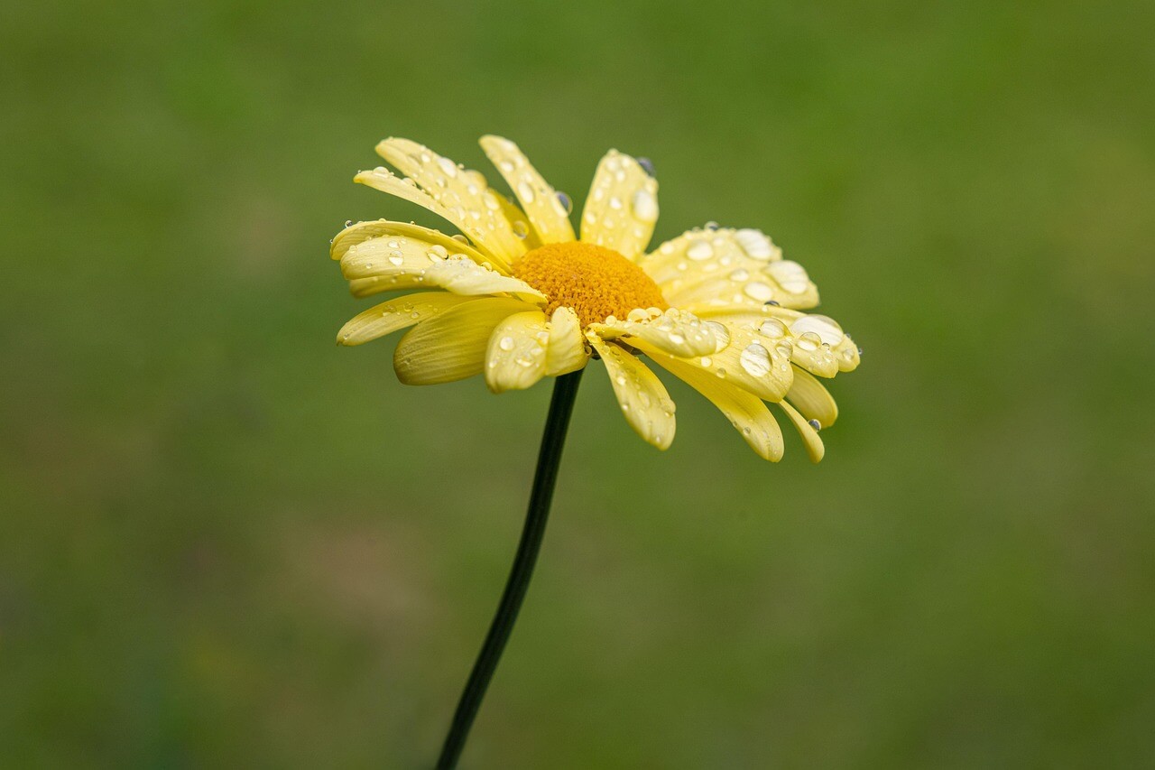 중장년 특화 취업 지원센터 활용법