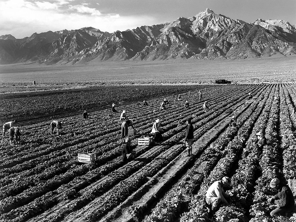 Farm workers and Mt. Williamson by Ansel Adams
