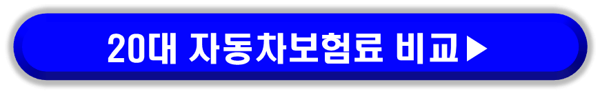 자동차 보험료 계산이 필요한 20대 운전자를 위한 견적비교사이트