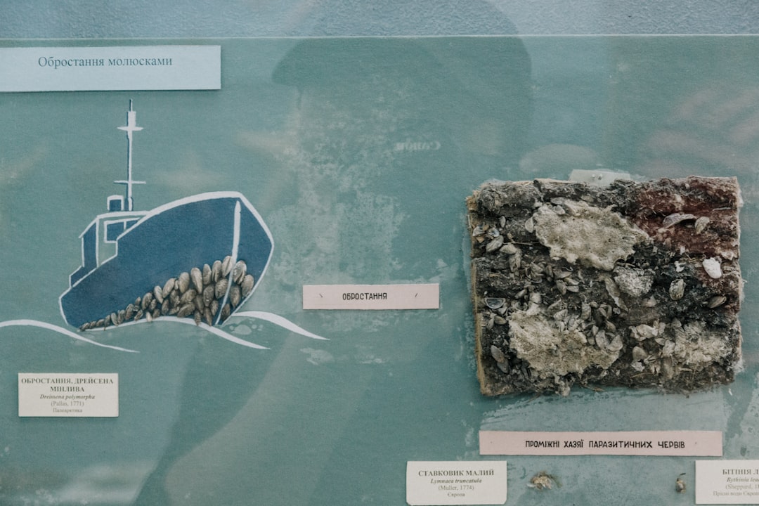 Paleolithic