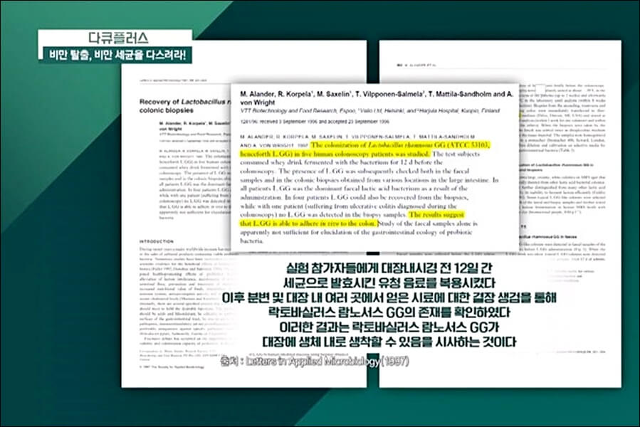 LGG 유산균 추천제품 및 효능