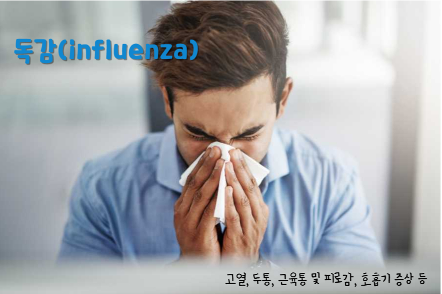 독감(influenza)
독감의 주요 증상 : 고열, 두통, 근육통 및 피로감, 호흡기 증상 등