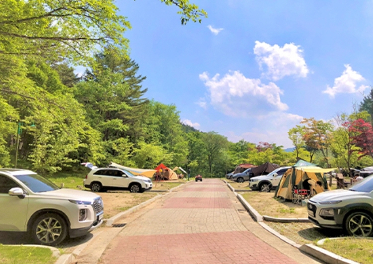 평창 가볼만한곳