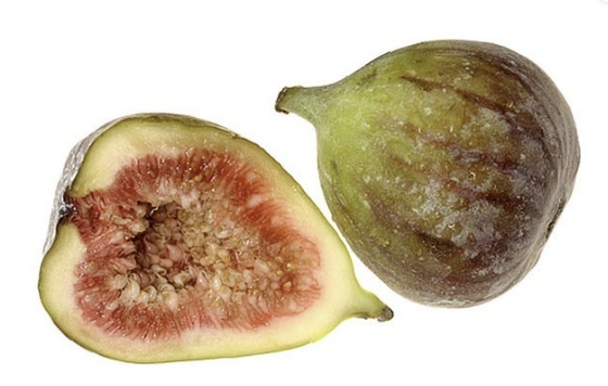무화과효능과부작용
