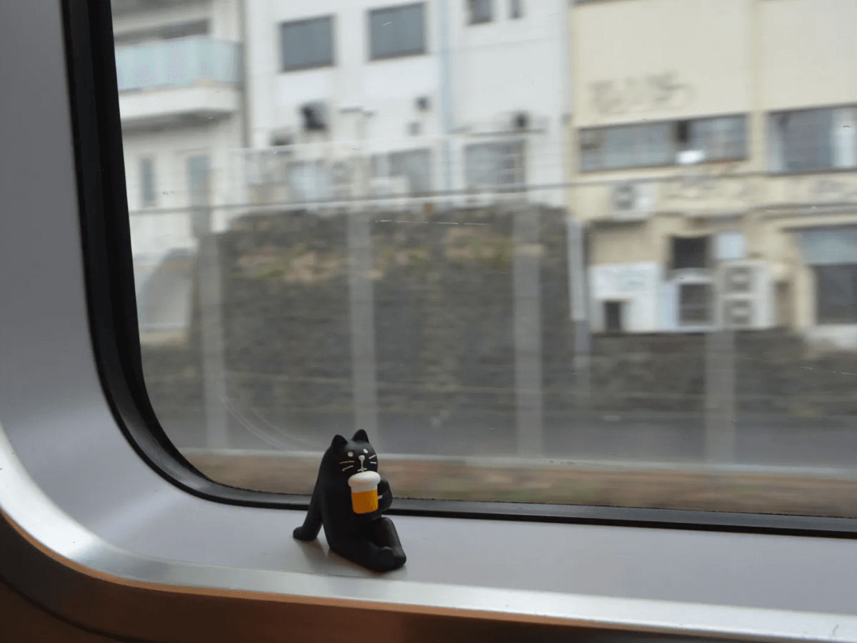 해외여행 와이파이 도시락 단점