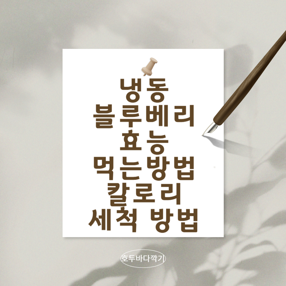 냉동블루베리의효능과-먹는방법-칼로리와-세척방법에-대한문구