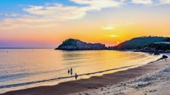 비금도 배시간표