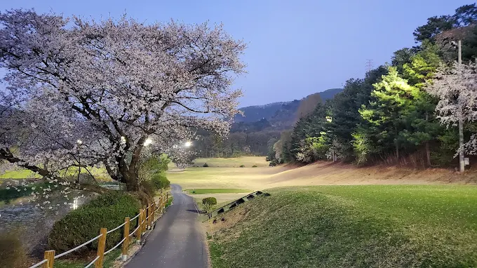 용인 골드 컨트리클럽 소개 및 이용방법