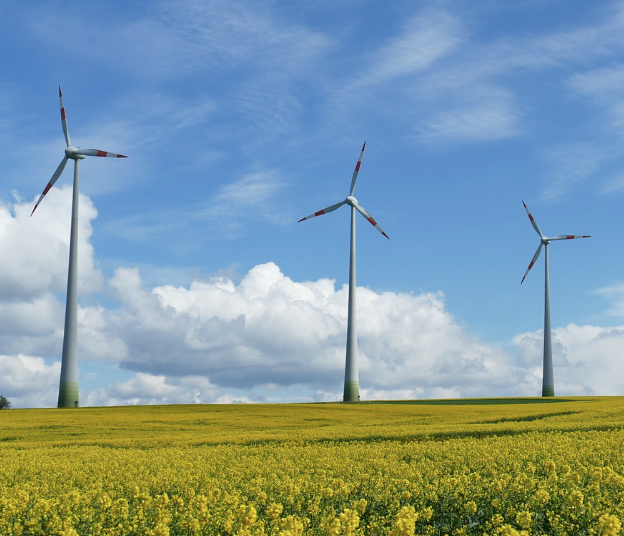창녕 낙동강 유채축제