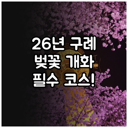 구례 벚꽃 2026년 개화 일정 및 ..