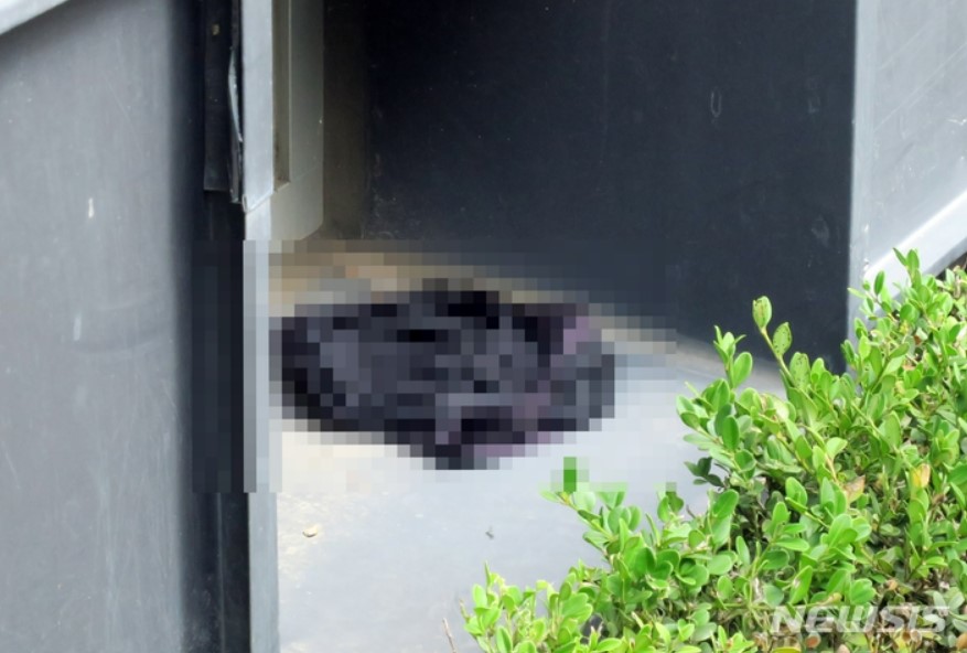 인하대 여대생 사망사건 가해자