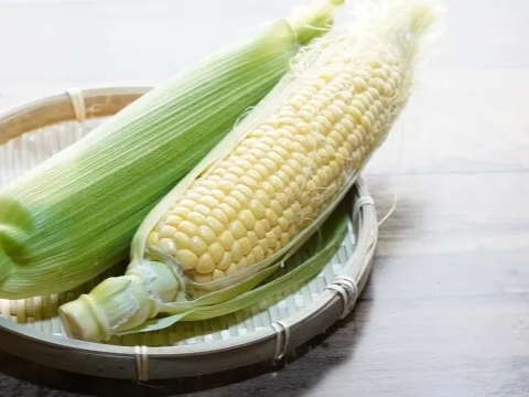 옥수수차의 이뇨작용