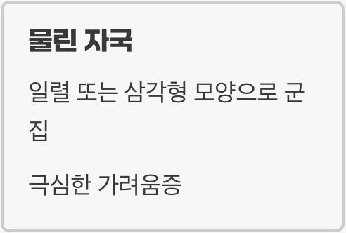 빈대, 혹시 우리 집에도? (의심 증상과 흔적)