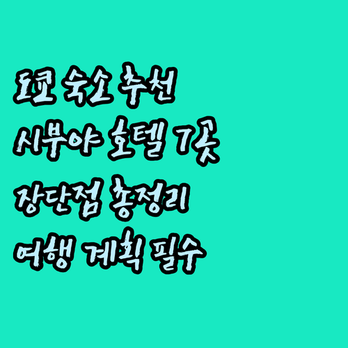 도쿄 여행 숙소 선택 도움 시부야 호
