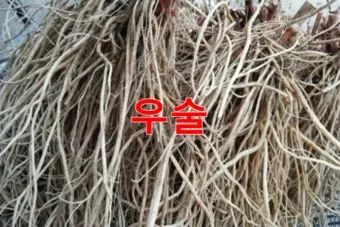 우슬뿌리 효능 부작용 먹는법 건강 활용 팁_16