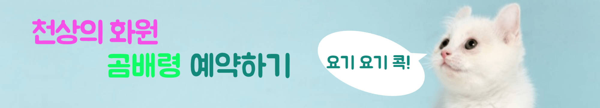 곰배령 예약하기