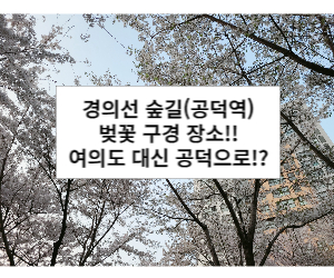 경의선 숲길 벚꽃 구경 공덕역