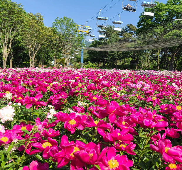 서울대공원 테마가든