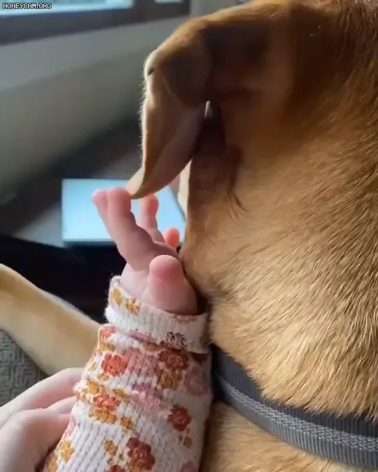 img.webp?credential=yqXZFxpELC7KVnFOS48ylbz2pIh7yKj8&expires=1767193199&allow_ip=&allow_referer=&signature=uiZ5vCVO9M4DHxMjSKhV6MP5h%2B0%3D