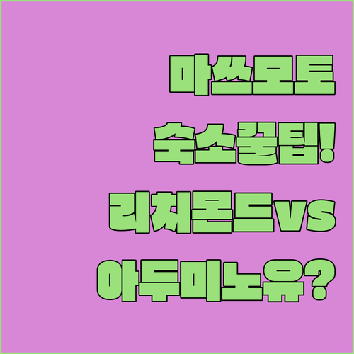 마쓰모토역 주변 숙소 추천 리치몬드 ..