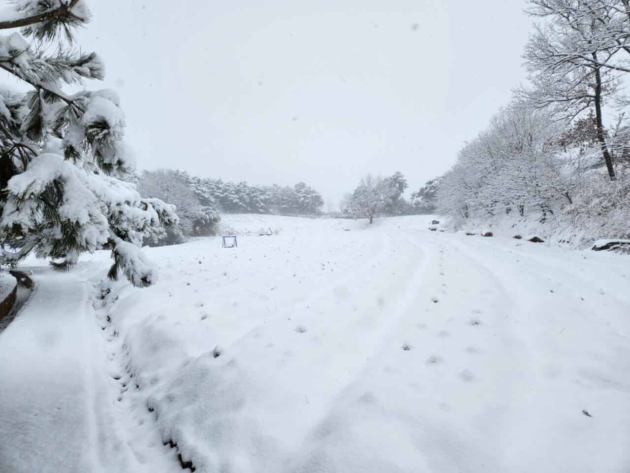 생생정보 2309회 장PD의 AI 여행기 고창 여행일정 총정리&amp;#44; 고창청농원&amp;#44; 해변승마클럽 취게팜&amp;#44; 두암초당&amp;#44; 본가 백합한상